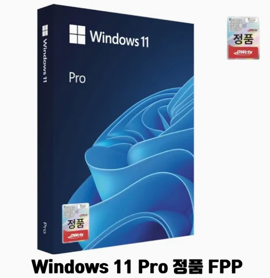 마이크로소프트 윈도우 11 프로 FPP(Windows 11 Pro FPP) 처음사용자용 한글 USB 패키지