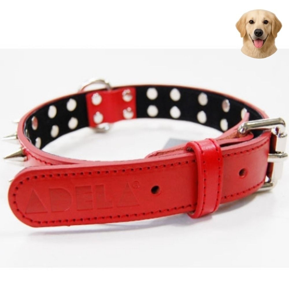 [오늘출발] 대형견 징가죽 목줄 30MM 다크브라운 강아지패션 개산책 강아지목줄 애견목줄