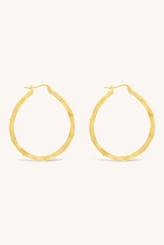 Sierra Winter Jewelry 이어링 시에라 윈터 주얼리 뮤즈 후프