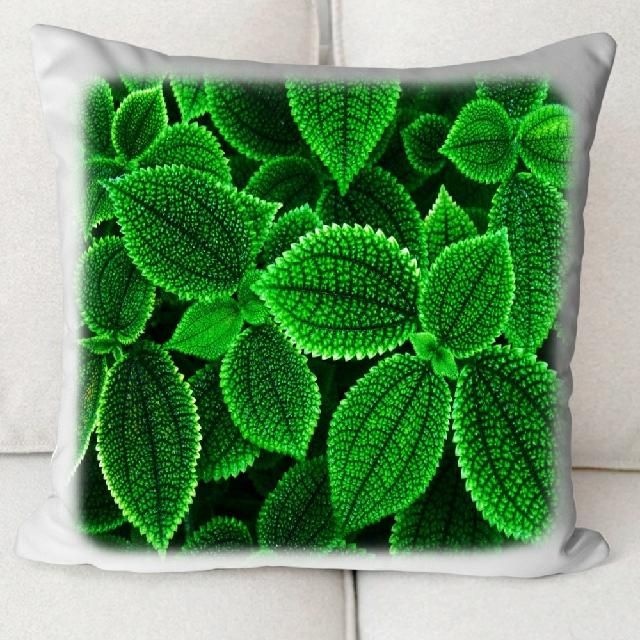 인테리어 쇼파 쿠션커버 30x30 40x40 45x45 50x50 60x60 식물 나뭇잎 PL-020