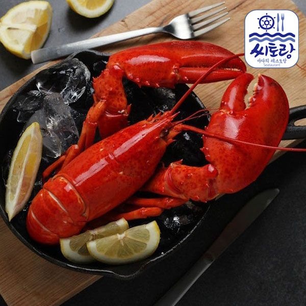[롯데백화점] 맛있는날 캐나다 자숙랍스터 실속 2미/미당 350g-400g/냉동