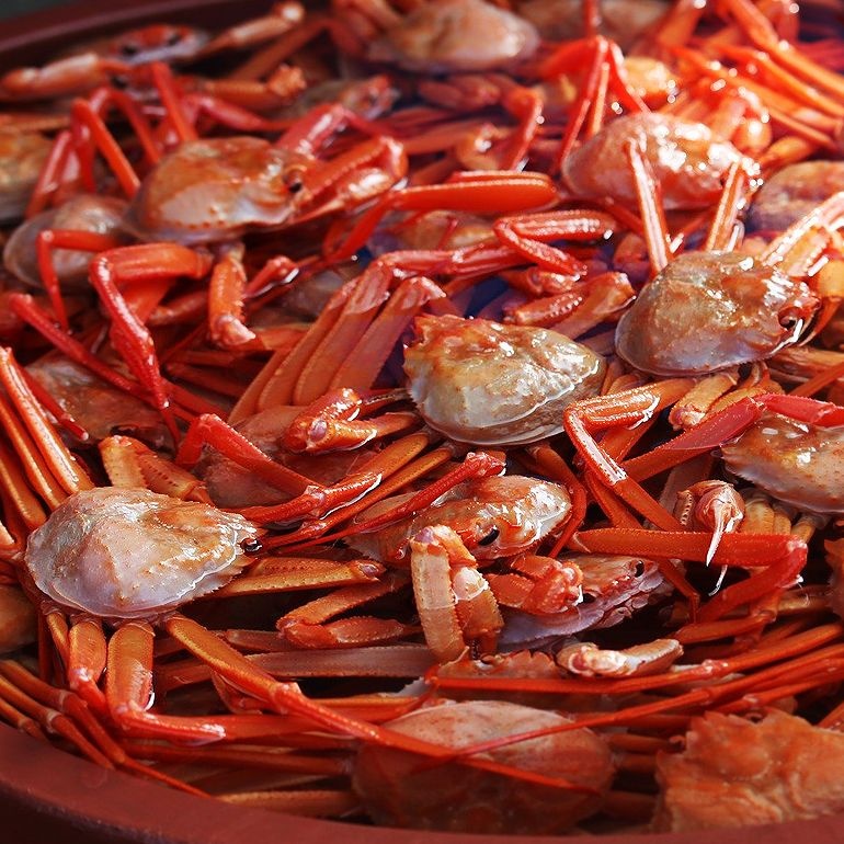 [통큰수산]포항 구룡포 자숙 연지홍게 5kg 실속형(15미 내외/다리수율 80%이상)