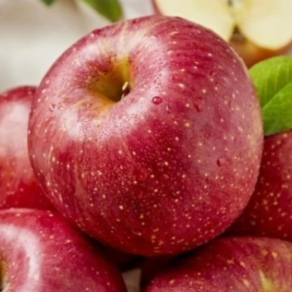 사과 가정용 2kg