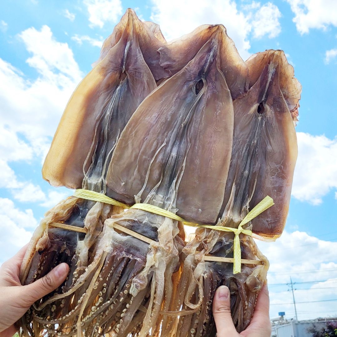 원양산 마른오징어 파품 500g (4-8미)