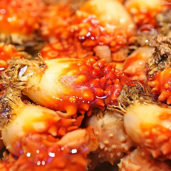 26년산 통영 산지직송 활멍게 2kg 14~24미 외