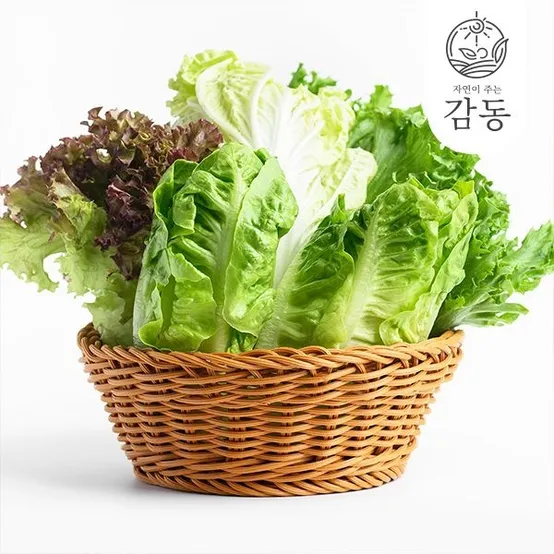 [딜크릿] 고흥 유러피언 샐러드 쌈채소 1kg 