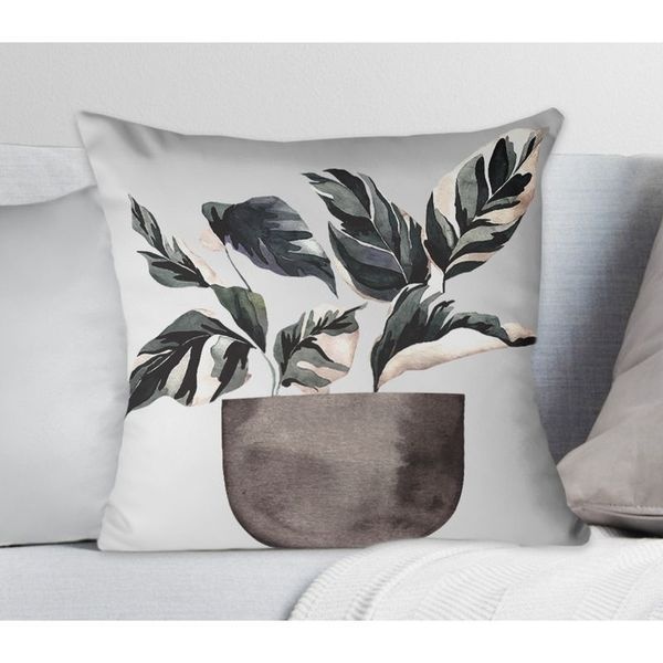 NS홈쇼핑 감성화분 산세베리아B 플랜테리어 차박미니 쿠션커버30x3031027221