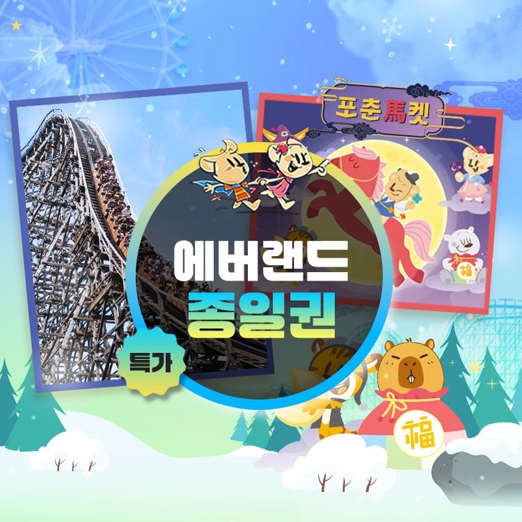 에버랜드 종일권