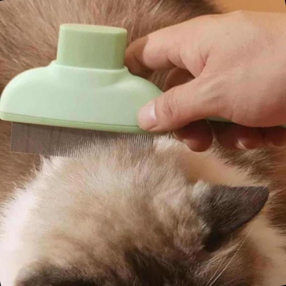 라볼 반려견 엉킨털 정리빗 슬리커브러쉬 비숑 고양이 죽은털 제거 핀형