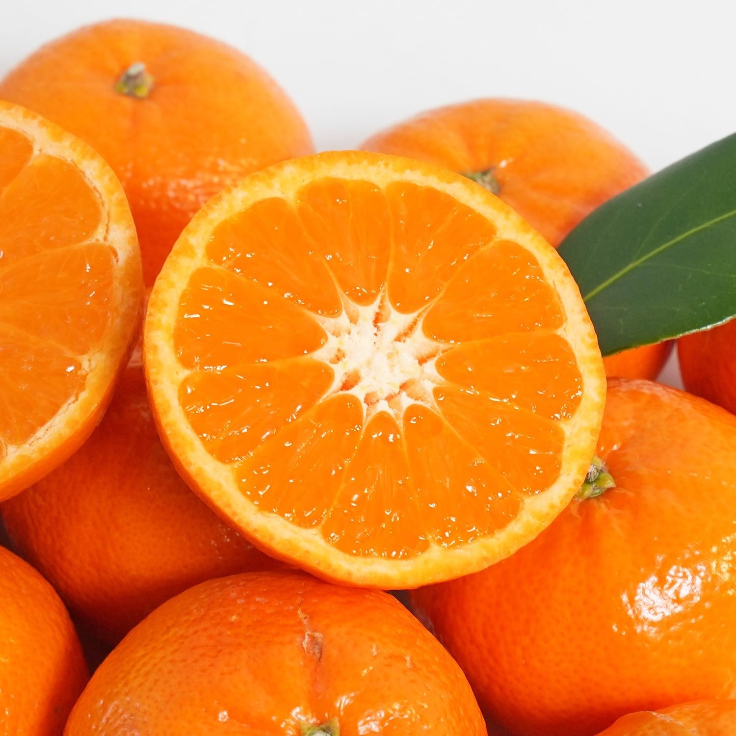 썬키스트 고당도 만다린 2kg 16-30과