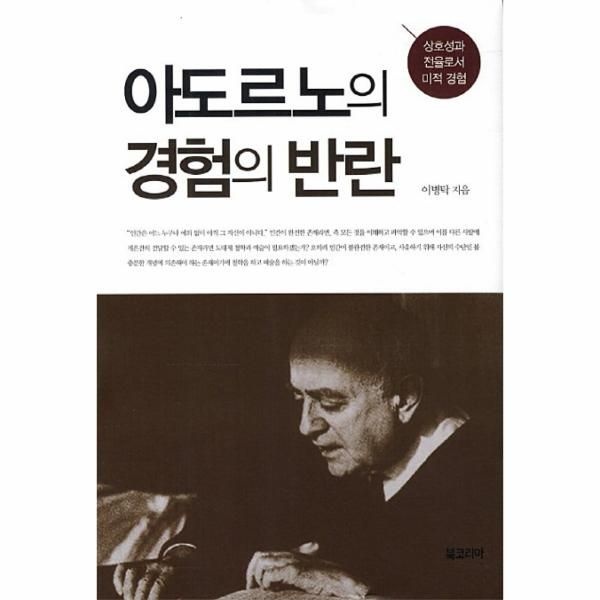 [보리보리]아도르노의 경험의 반란 상호성과 전율로서 미적 경험