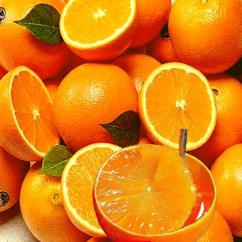 당도좋은 진한과즙 블랙라벨 오렌지 중과 50과