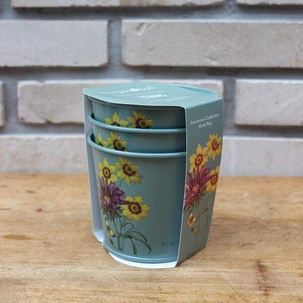 (현대Hmall) 아트박스/그린무어 버건앤볼 화분 세트 Asteraceae Herb Pots