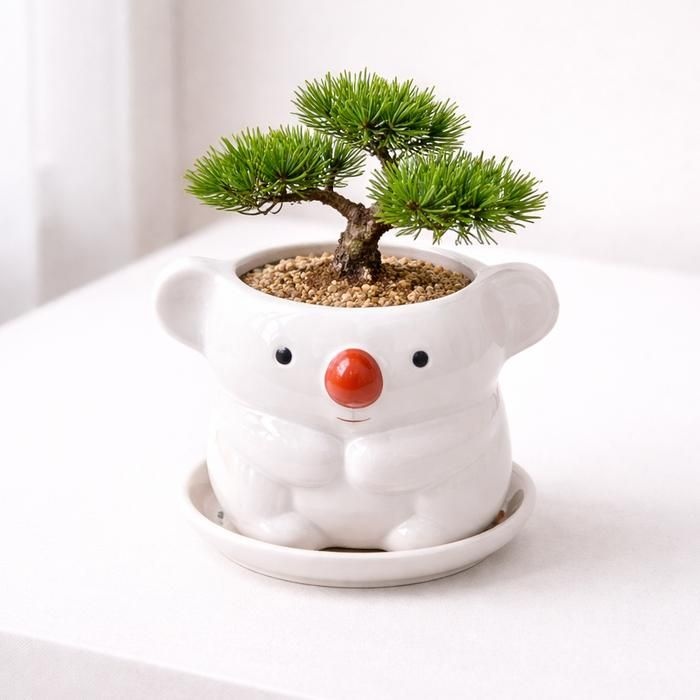 모던 도기 애니멀 캐릭터 화분 S 6x6cm 코알라 화이트