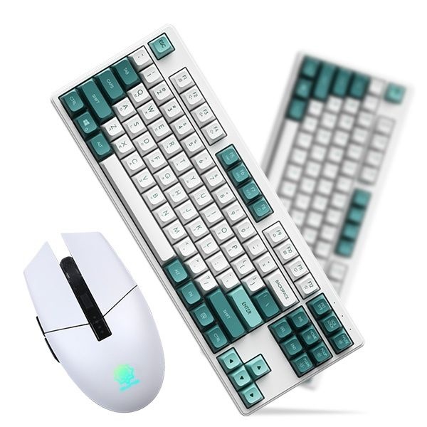 UnKnown 몬스타기어 유선 데스크탑 세트, 가츠 X187 포레스트 스웩3050 화이트