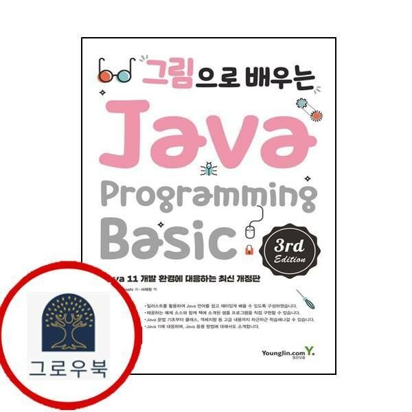 (현대Hmall) [영진닷컴] 그림으로 배우는 Java Programming 3rd Edition