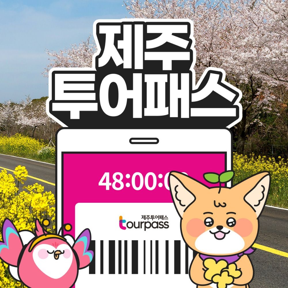 [제주] 제주투어패스 / 48시간 프리패스 여행 체험 관광지 실내 액티비티 카트 승마 공연