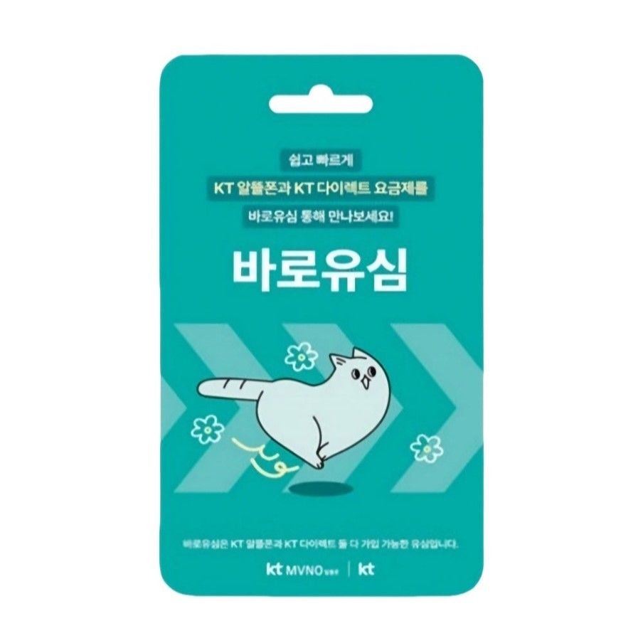 KT 바로 유심 1개