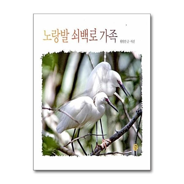 [보리보리]노랑발 쇠백로 가족 (어린이를 위한 사진 동화)