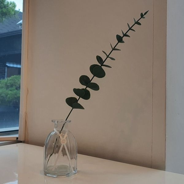 [하프클럽]인테리어 촬영소품 유칼립투스 조화 B