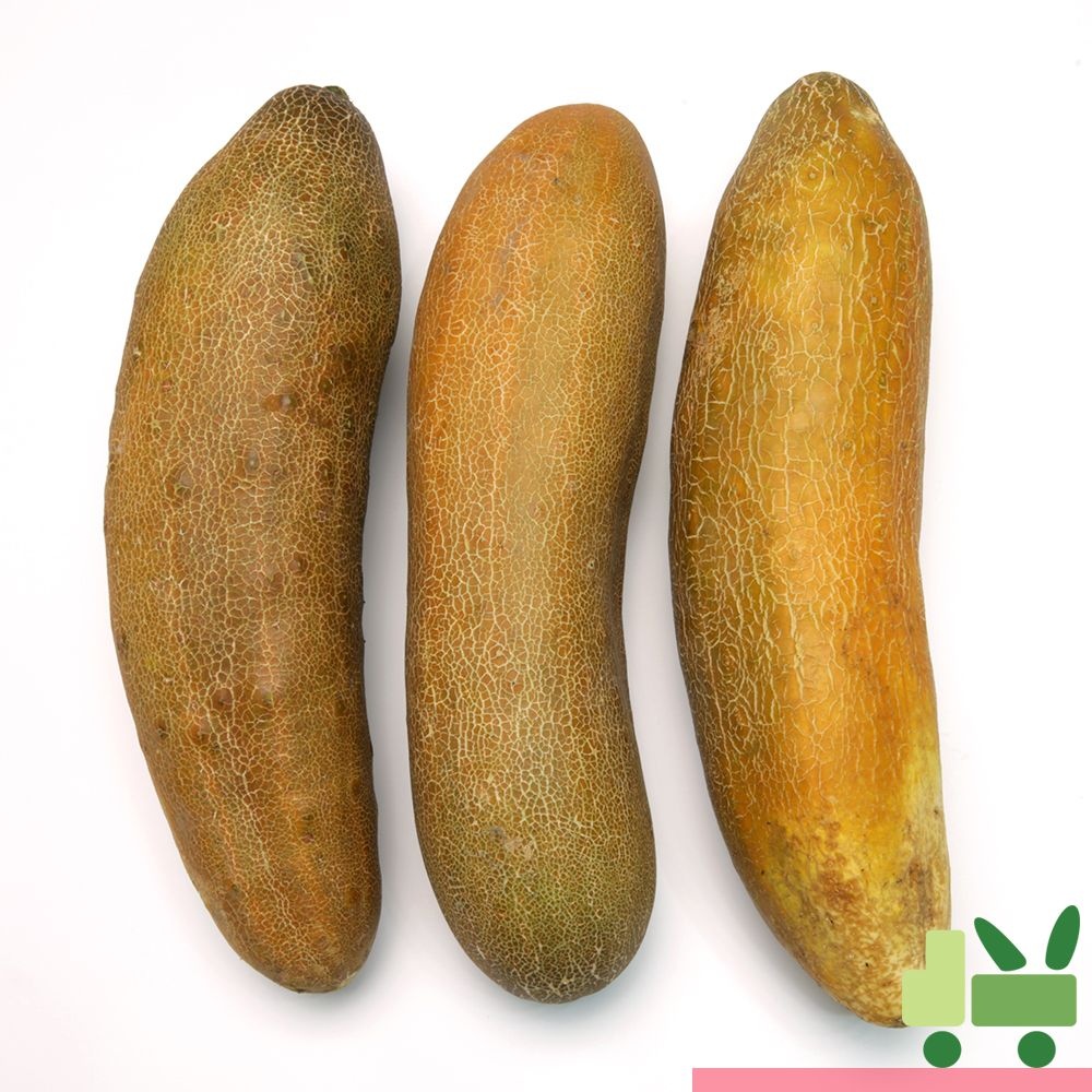 노각 (늙은오이) 5Kg (상)