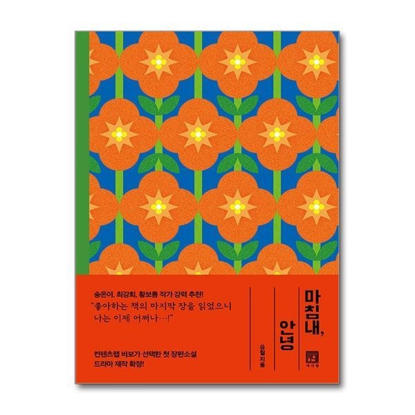 [보리보리]마침내 안녕 - 유월 장편 소설 비보 VIVO 드라마 원작 책