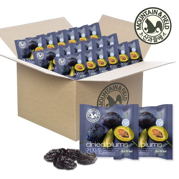 산과들에 말랑쫀득 하루건자두 20g 60봉