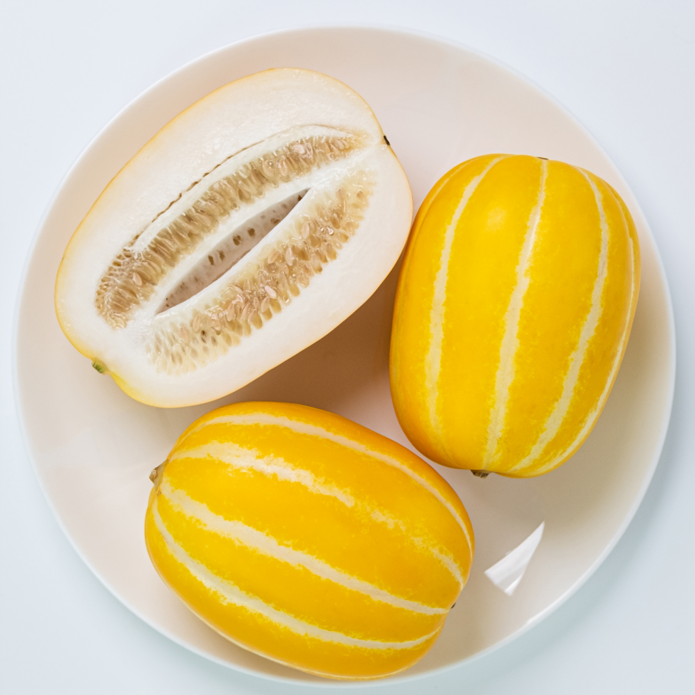 당도측정 고당도 성주 참외 2KG