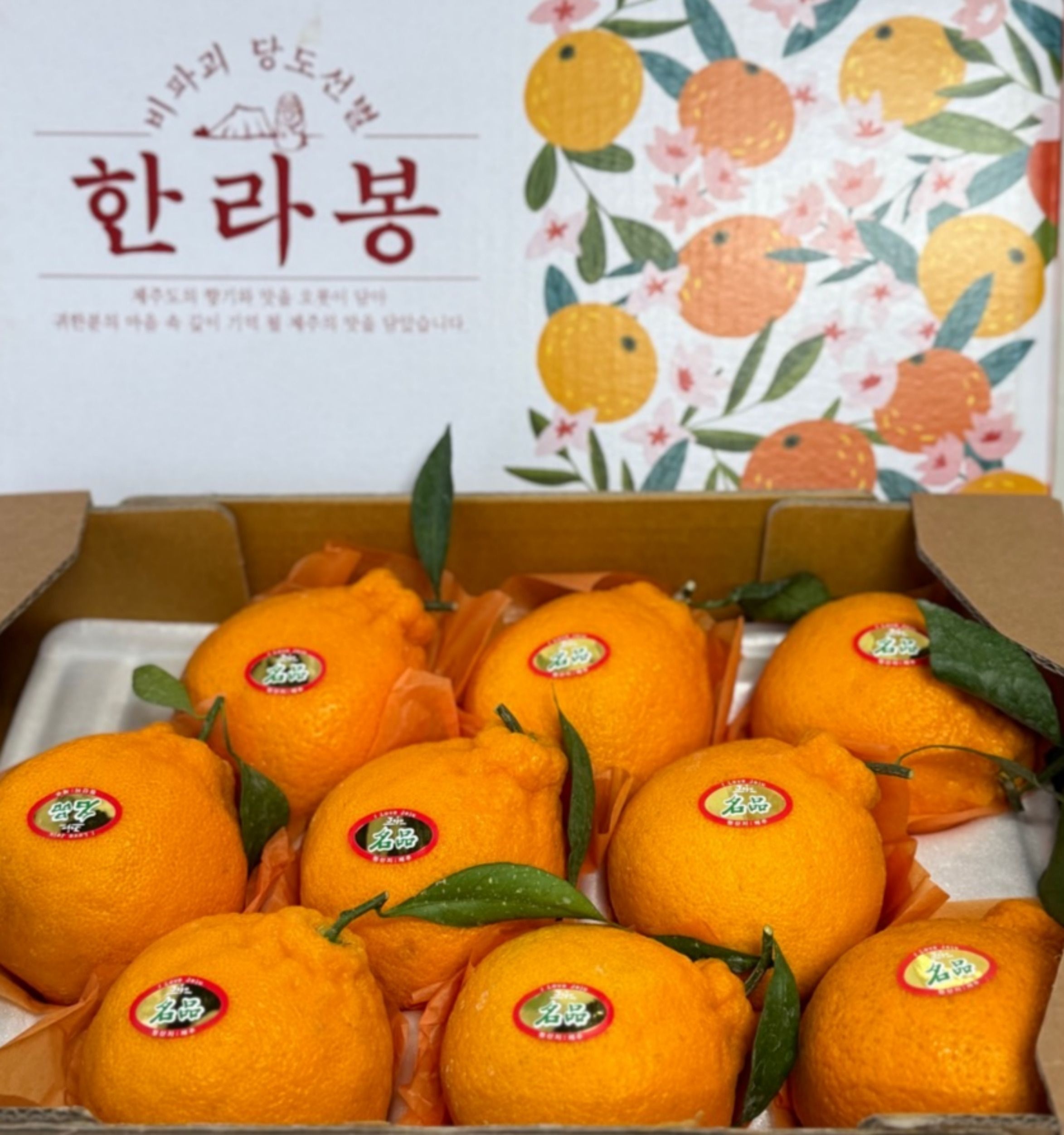 제주 한라봉 3KG