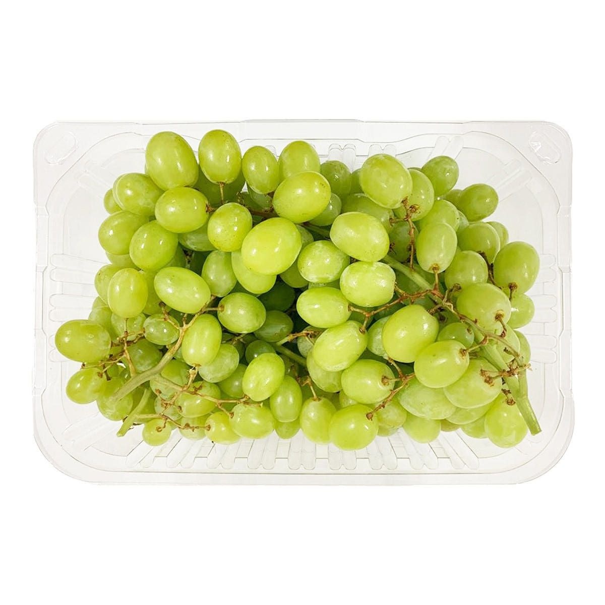 Kern Vineyard 씨없는청포도 코스트코포도 칠레 칠레산 3.6kg