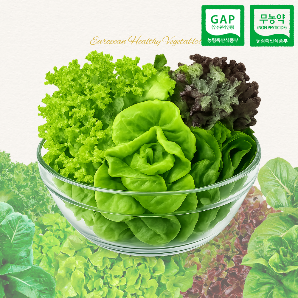 무농약 샐러드 쌈채소 3~5종 800g