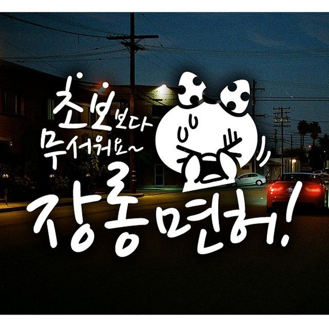 초보운전스티커 장롱면허 차량용 스티커