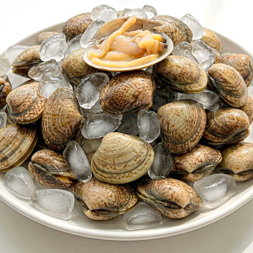 국산 남해안 활 바지락 1kg 2팩 및 칼국수