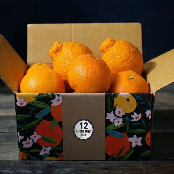 레드향 2kg 혼합과