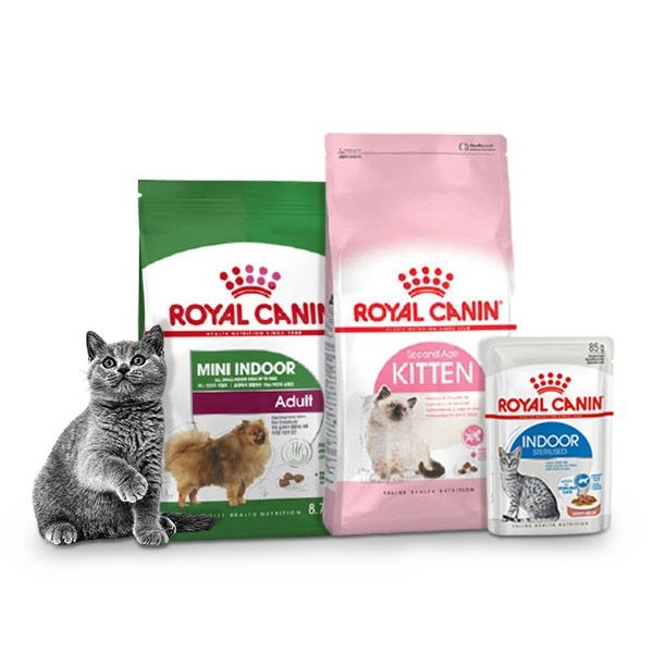 로얄캐닌 고양이사료 인도어 4kg