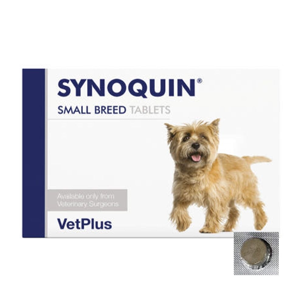 벳플러스 피부피모 보조제 영양 사이노퀸 소형견 사은품랜덤증정 관절 30정 1개