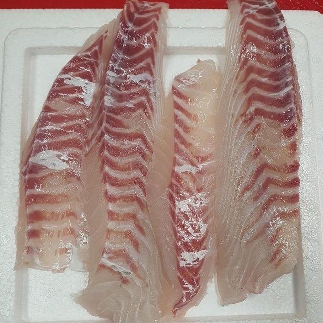 횟감용 참 돔 필렛 350g 생물 참 돔 회 필렛 참 도미...