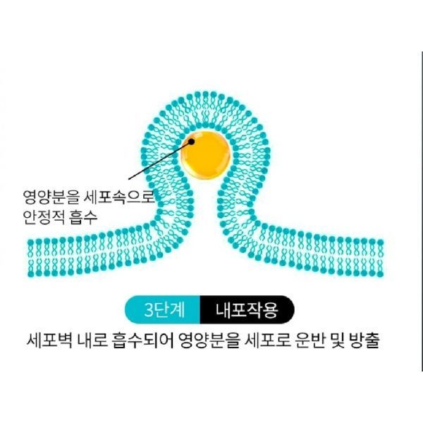 항산화 골든프라임 닥터 리포좀 NMN 1000 (1000mg X 120정)