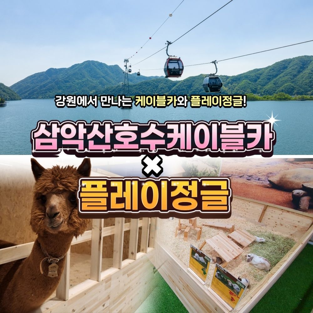 레고랜드 코리아 리조트 [강원] 삼악산케이블카X플레이정글 춘천엔타점 PKG