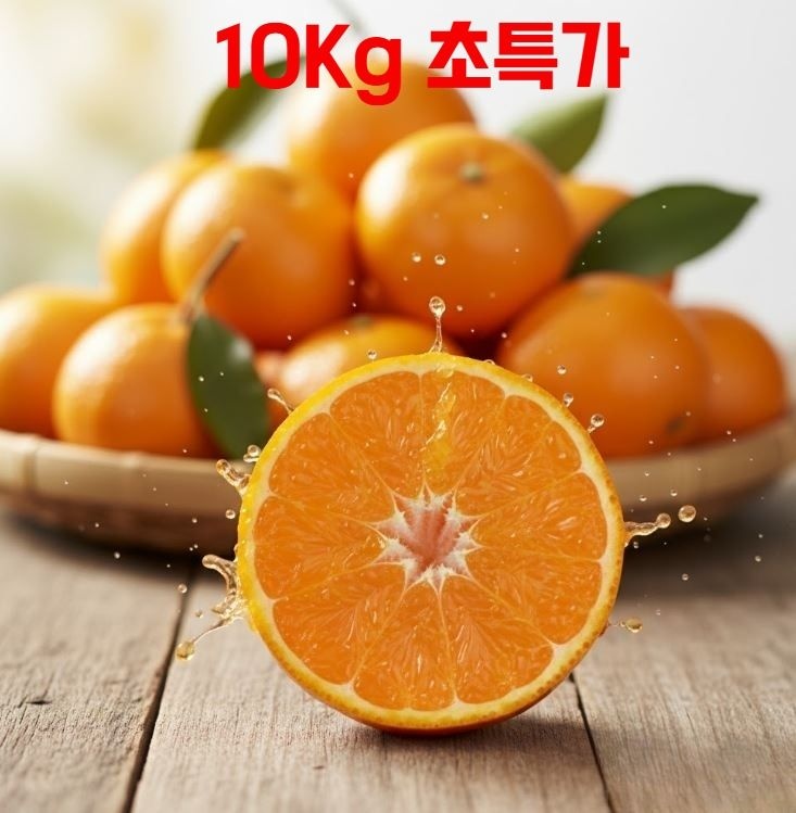 달콤새콤 제주 노지 감귤 대과 청귤 10kg