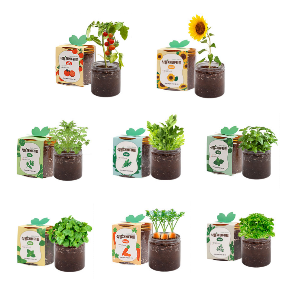 [주식회사 반디]아이데이 실내 식물 키우기 재배 키트 방울 토마토 고수 바질 루꼴라 레몬밤 당근 파슬리 해바라기 세트