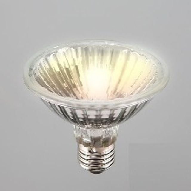 PAR30 75W SST FL 230V E27 전구색 필립스