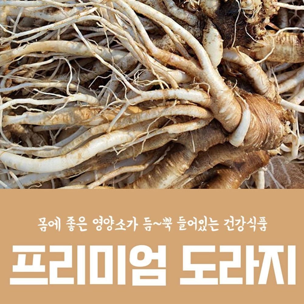 고씨네 나물도라지1kg 도라지 건도라지 백도라지 나물 도라지차 도라지무침