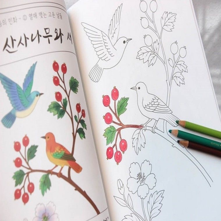 [셀플리 협력업체]민화 그리기 성인 취미 미술 색칠 도안 놀이 하기 어르신 공부 시니어 프로그램 인지 BB0366