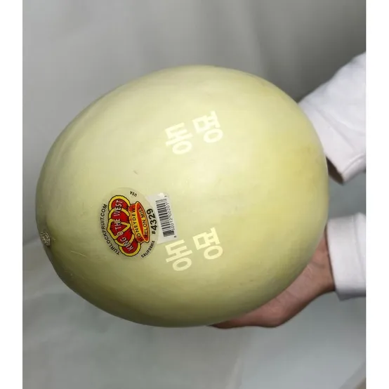 미국 털록 허니듀멜론 프리미엄 선별 고당도