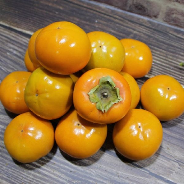 경남 산청 호랑이 저탄소 단감 10kg 옵션 선택