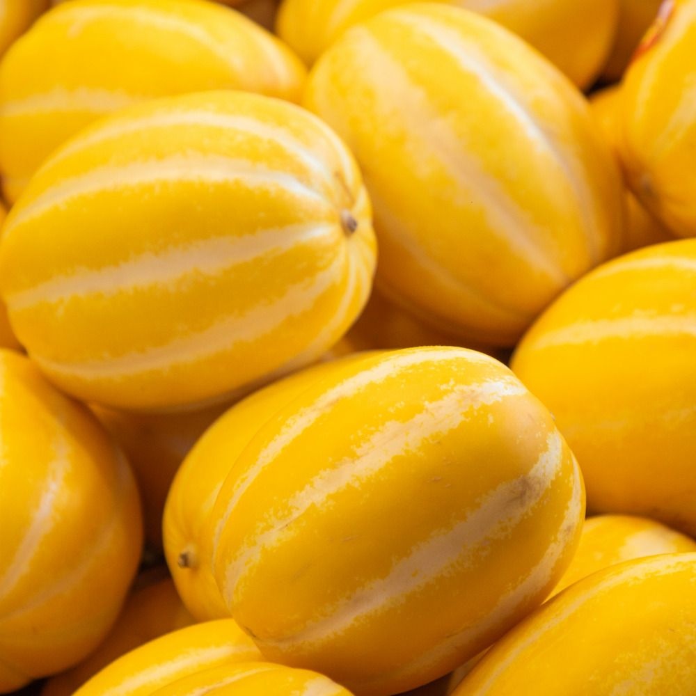 당도선별 성주 꿀 참외 새벽수확 산지직송 5kg