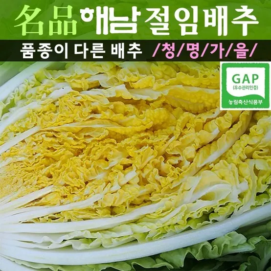 명품해남절임배추 20kg (산지직송) (도착원하는날짜문의-01036462198 문자가능)