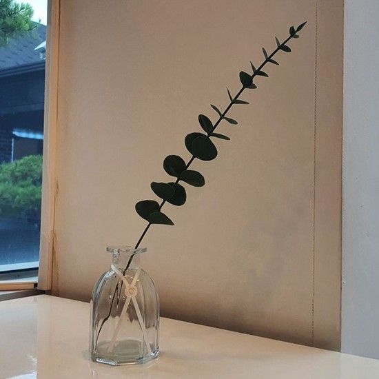 나뭇잎조화 조화 인테리어 조화장식 유칼립투스 촬영소품 B