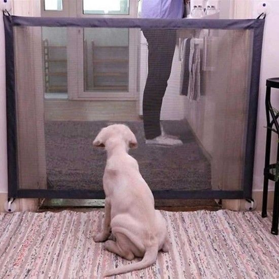 강아지 가출 방지 가드 펜스 간편한 메쉬 안전망 설치 강아지펜스 가림막 애견울타리